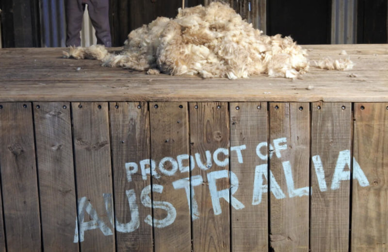 Australian Wool Prices Plunge on US-China Trade Gap