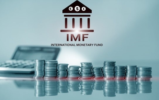 The icon portrays logo of the International Monetary Fund.