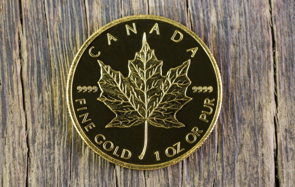 Canadian: gold maple on wood background.