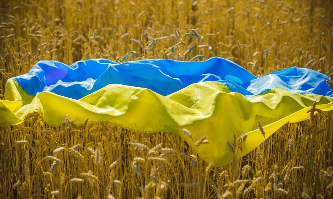 Les réserves de change de l’Ukraine atteignent