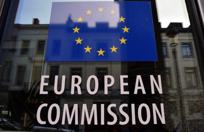 European Commission versus Vanderchik’s Organization