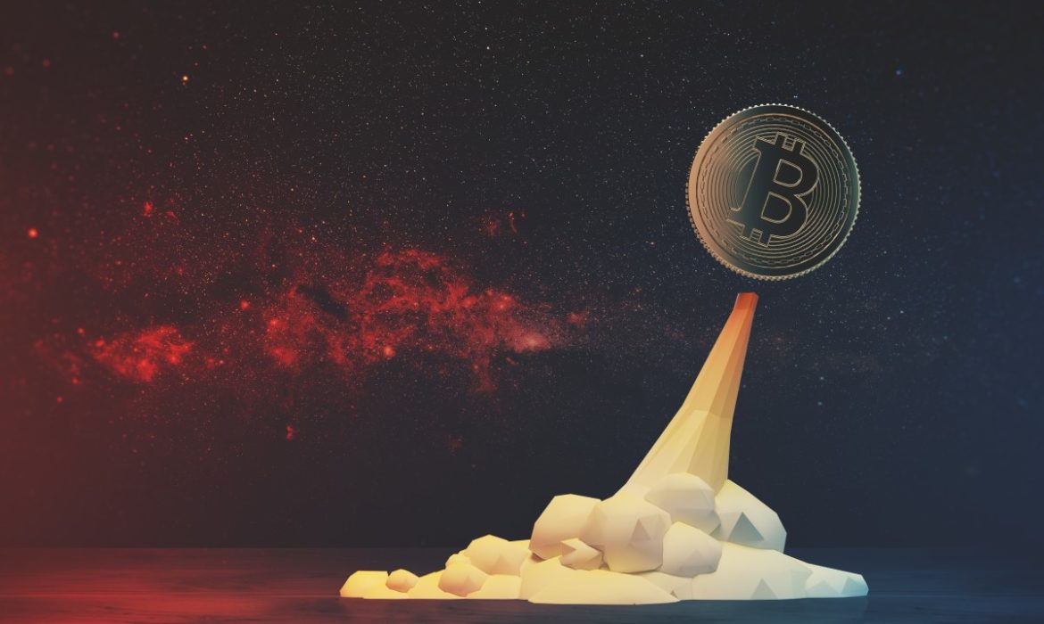 Bitcoin Will Reach $100,000 in 2020, Silk Road Founder Says