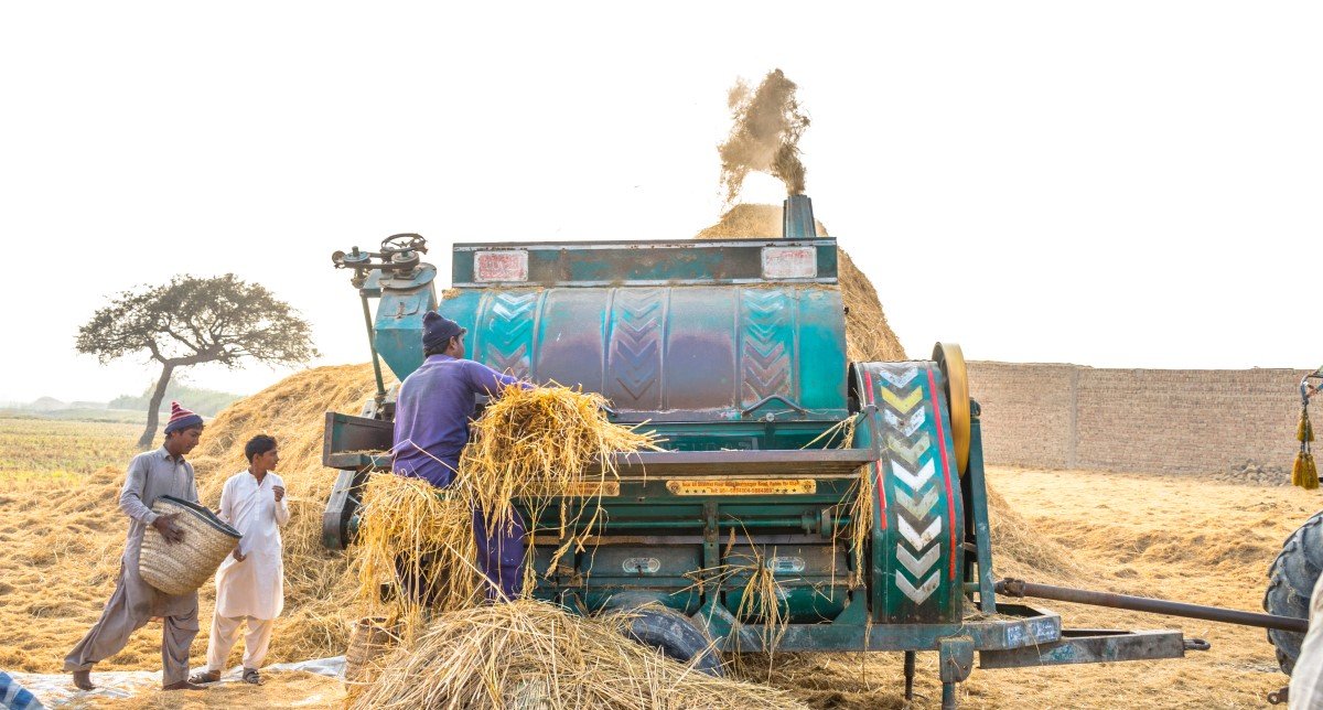 Pakistan is under wheat flour crisis