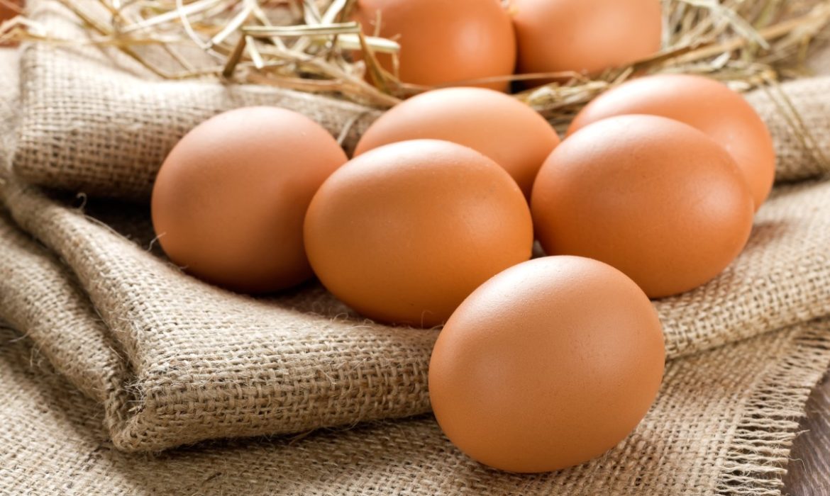 The Chinese Egg Industry Is Starting To Recover
