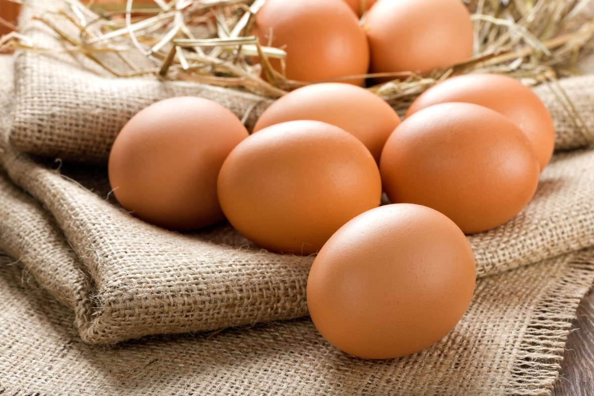 The Chinese egg industry is starting to recover