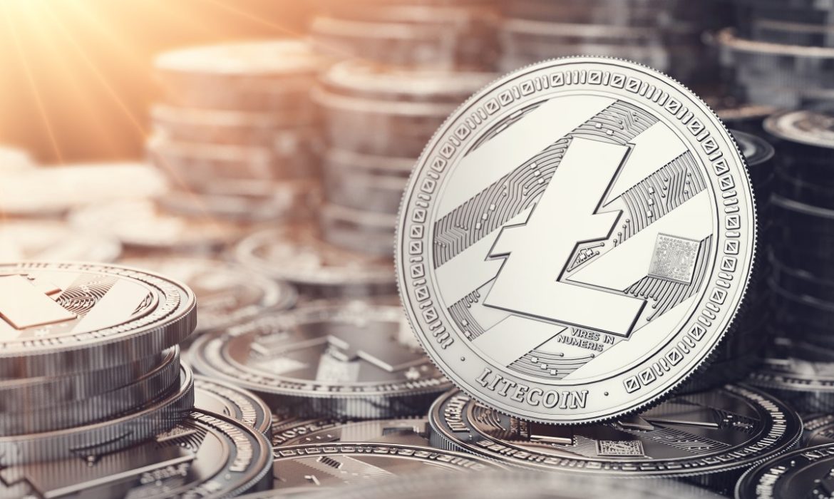 Litecoin Fell by 25%. Will the New Project Boost Crypto?