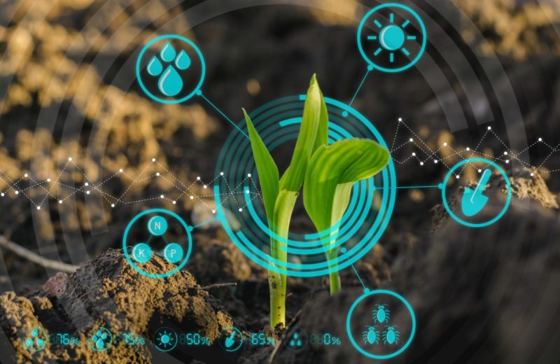Cybercorps reveals crop health insights with NASA’s tech