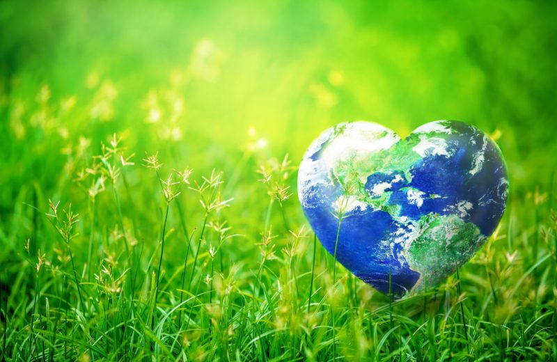 Several Eco-Friendly Products Worth Buying on Earth Day