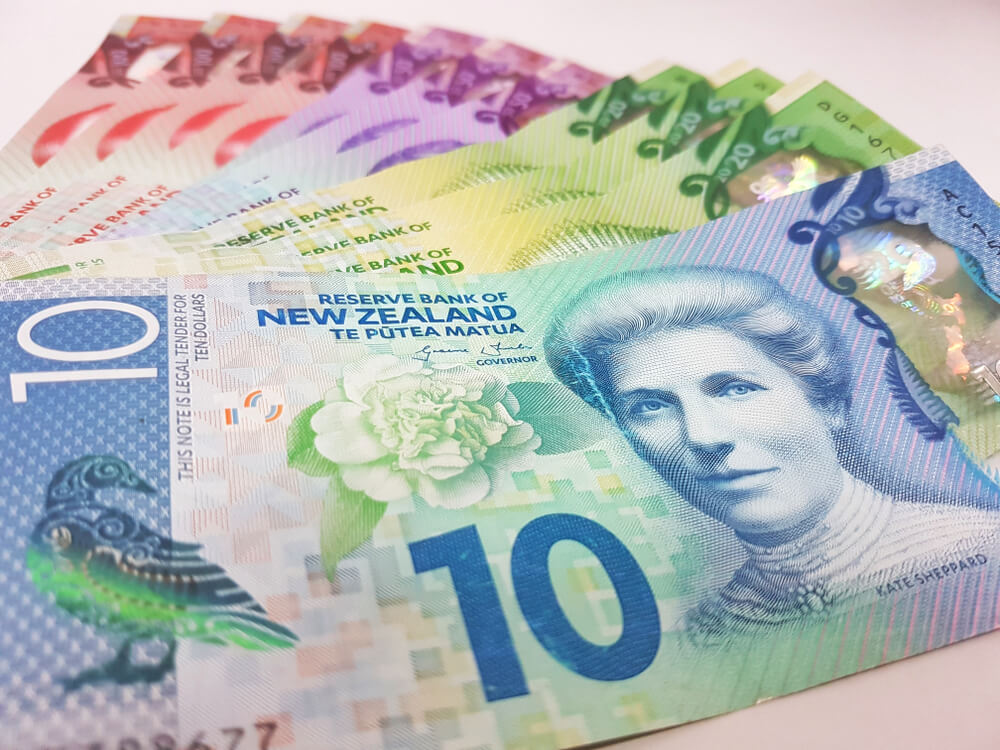 nzd currency in different denominations