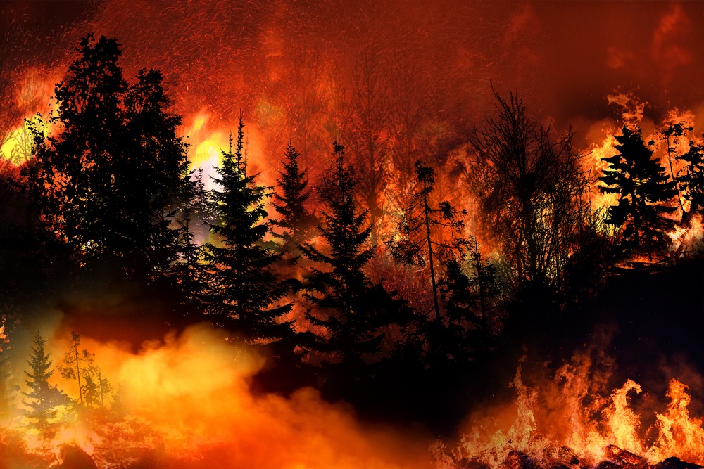 California Gov Highlights $2B Wildfire Preparedness Budget