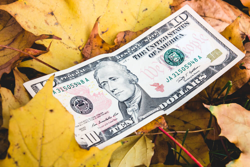 Dollars lie on the fallen yellow leaf, concept of reducing the price of the dollar