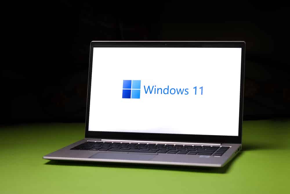 Interesting Details About Windows 11