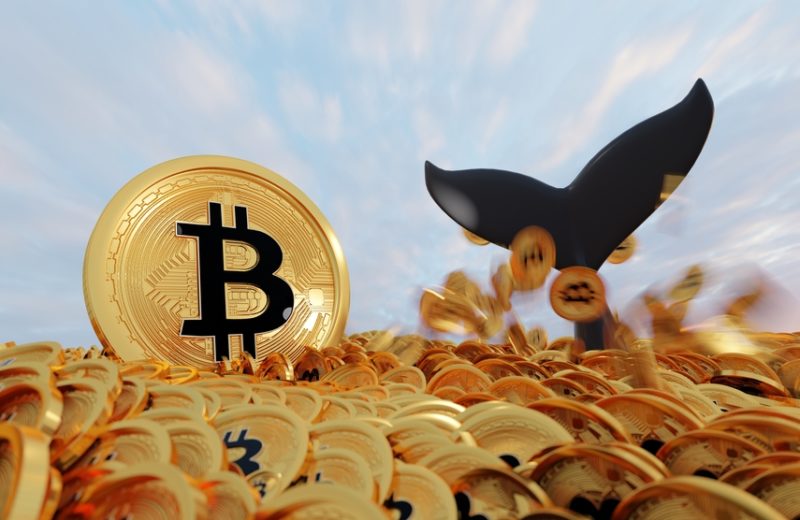 Criminals Account for 4% of Crypto Whales
