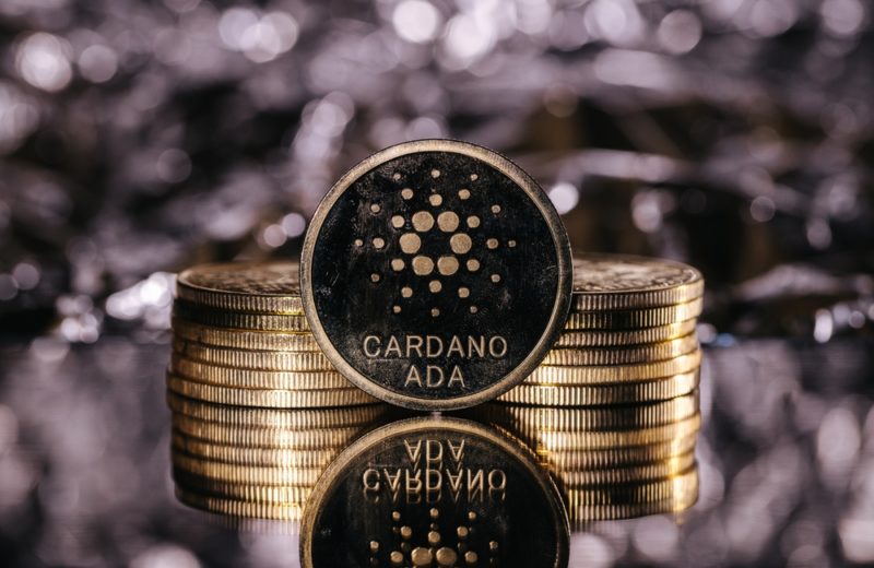 Cardano Expands, with A 1600% Increase in ADA Wallet by 2022