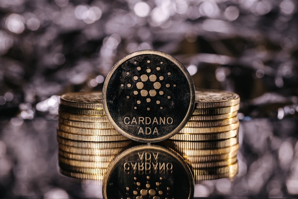 Cardano Expands, with A 1600% Increase in ADA Wallet by 2022