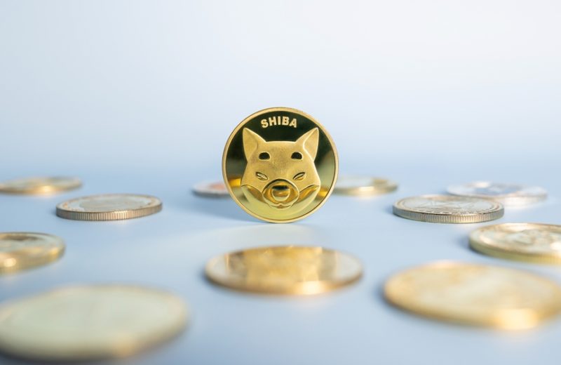 Is Shiba Inu’s Meme Coin Era Coming to An End?