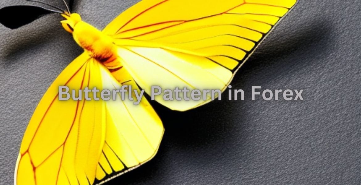 What is butterfly pattern in Forex?