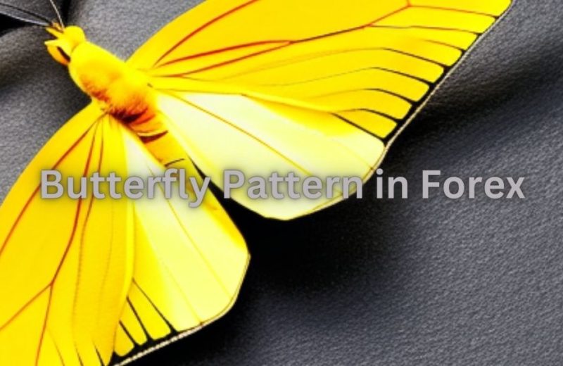 What is butterfly pattern in forex?
