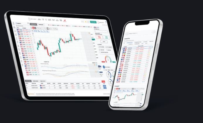 Platforms and Trading Experience on Tools4Deals